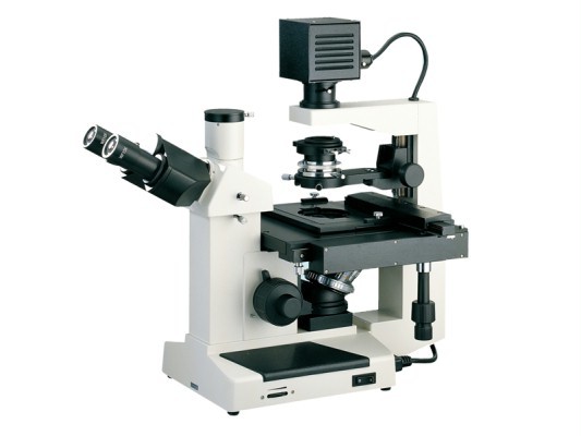 成都 倒置生物显微镜XDS-2 价格