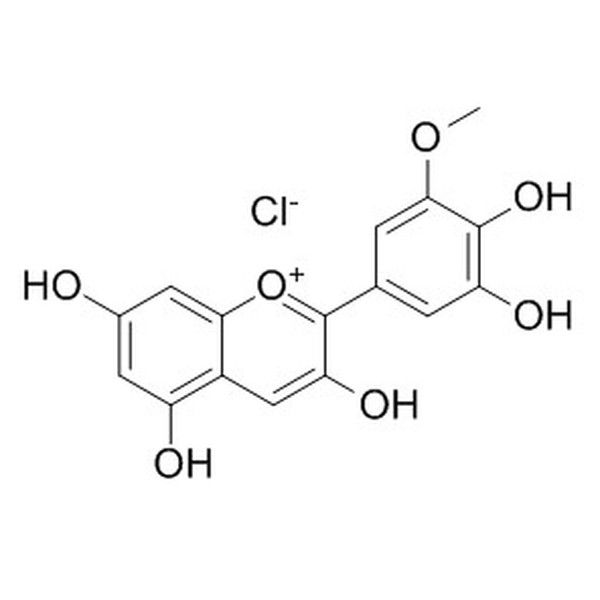 氯化矮牵牛素 CAS:1429-30-7