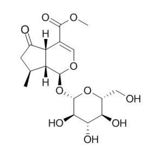 马鞭草苷 CAS:548-37-8