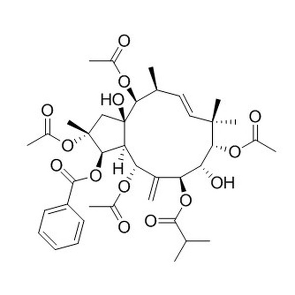 麻风树碱4 CAS:210108-88-6