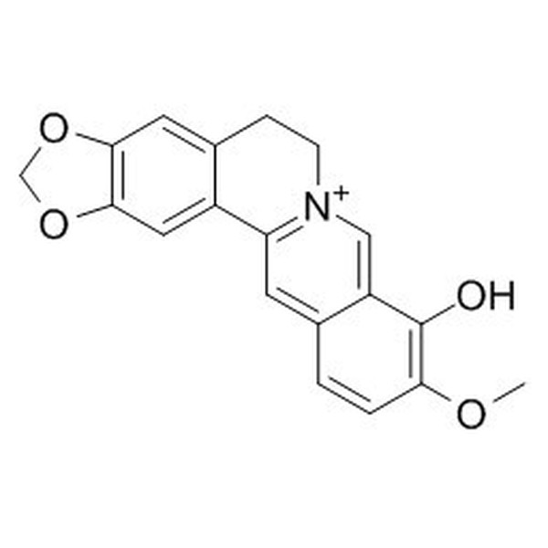 小檗红碱 CAS:15401-69-1