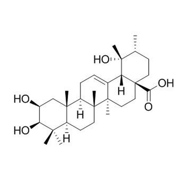 2-表委陵菜酸 CAS:119725-19-8