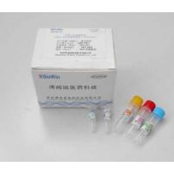 猴病毒40探针法荧光定量PCR试剂盒