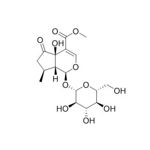 戟叶马鞭草苷CAS：50816-24-5