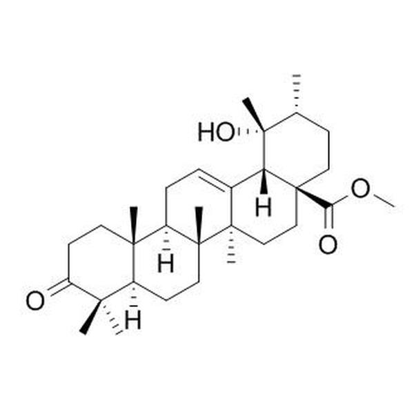 3-氧代坡模酸甲酯 CAS:14440-23-4