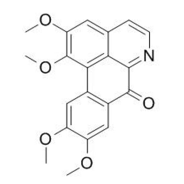 氧代海罂粟碱 CAS:5574-24-3