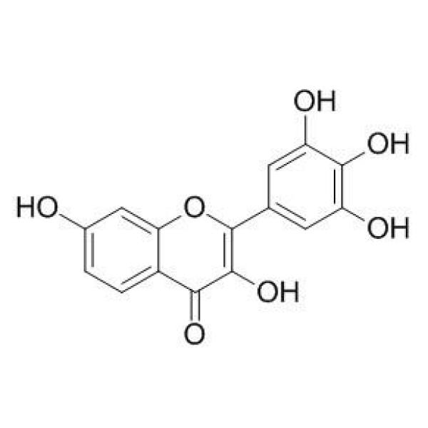 洋槐黄素 CAS:490-31-3