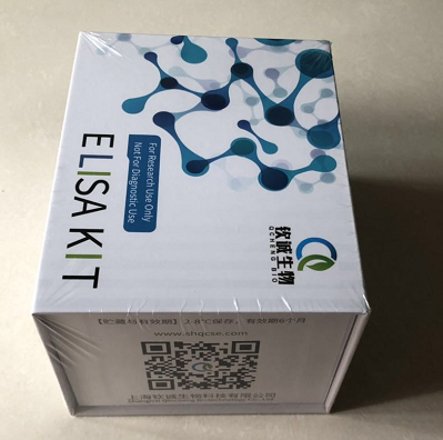 人ErbB受体的反馈抑制剂1(ERRFI1) ELISA Kit