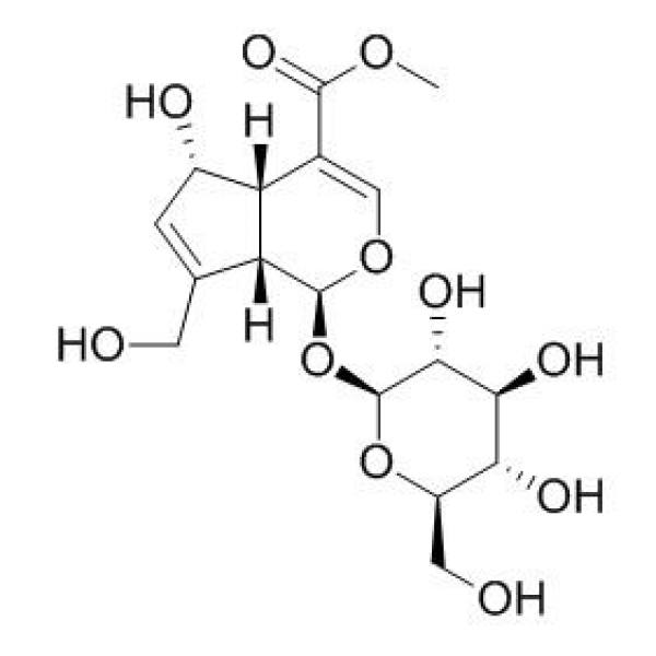 去乙酰车叶草苷酸甲酯CAS：52613-28-2