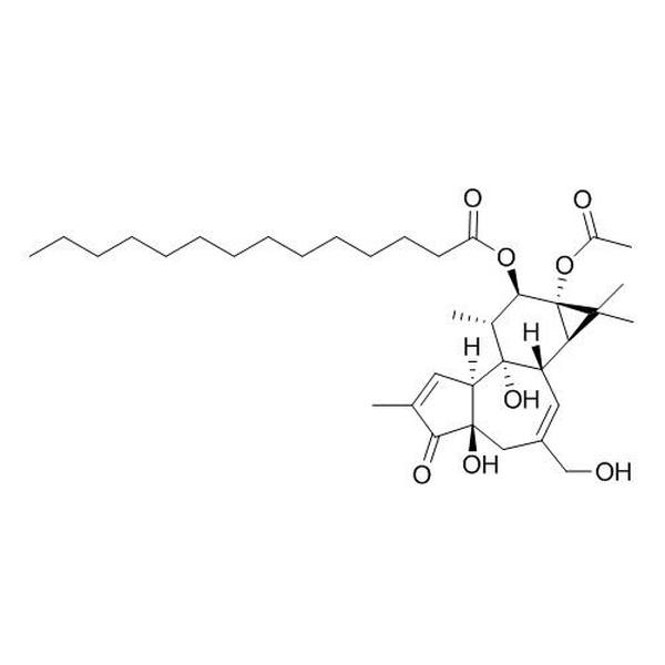 12-O-十四烷酰佛波醋酸酯-13 CAS:16561-29-8