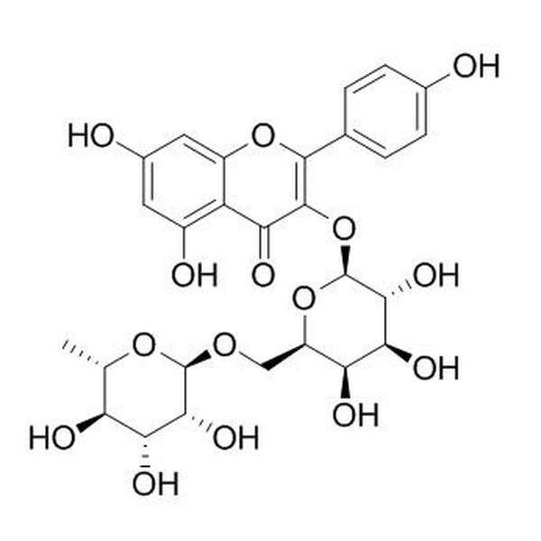 山奈酚3-O-洋槐糖苷 CAS:17297-56-2