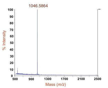 百泰派克 | 蛋白分子量测定001