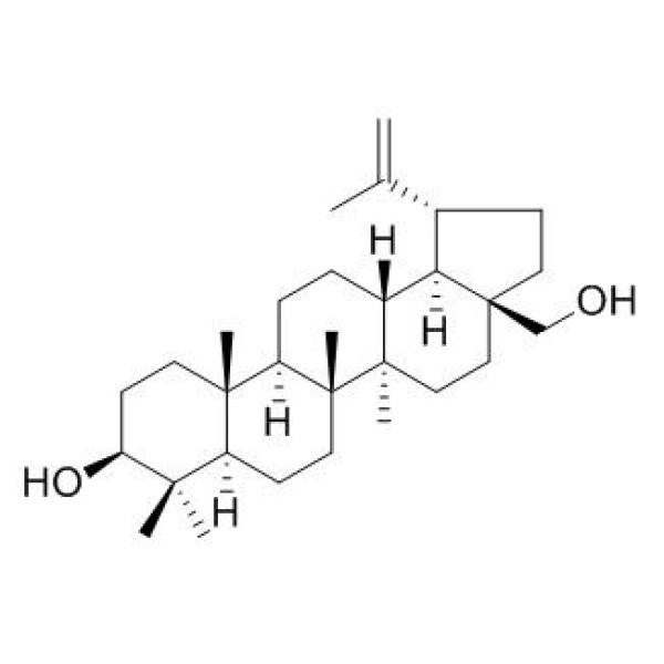白桦脂醇 CAS:473-98-3