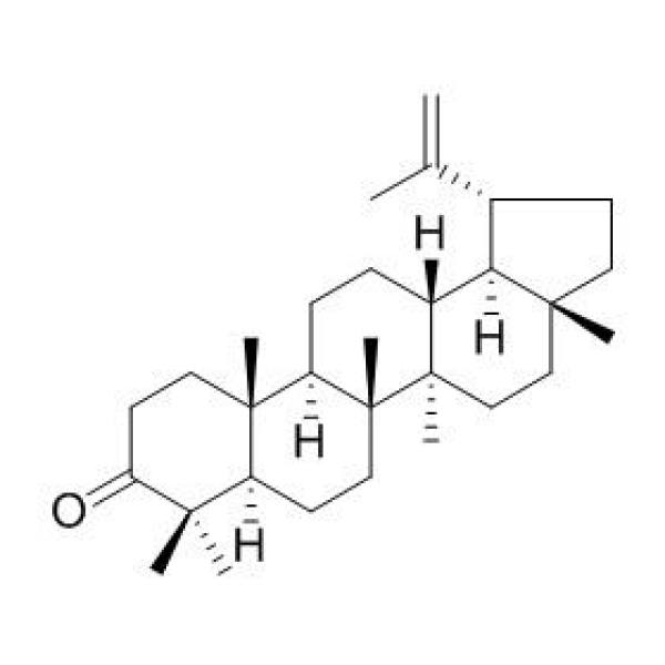 羽扇烯酮  CAS：1617-70-5