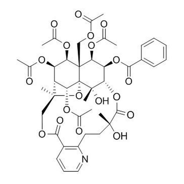 雷公藤定碱 CAS:37239-51-3