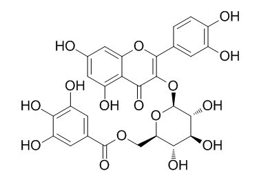 槲皮素3o6没食子酰基βd葡萄糖苷cas56316757