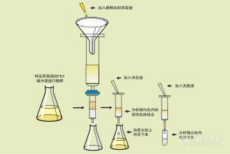 深芬仪器科普面粉中呕吐毒素的相关知识