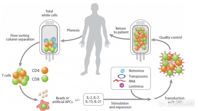 CAR-T细胞治疗技术介绍.jpg