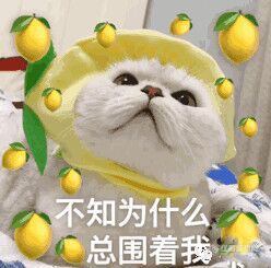 QQ图片20190520165447.jpg