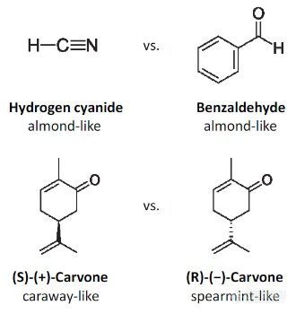 卡塞尔塑料制品的气味和VOC排放论坛