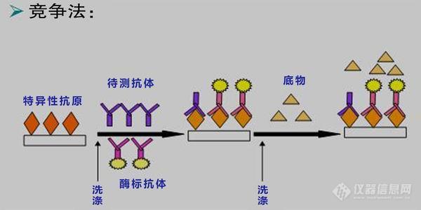 深芬仪器科普面粉中呕吐毒素的相关知识