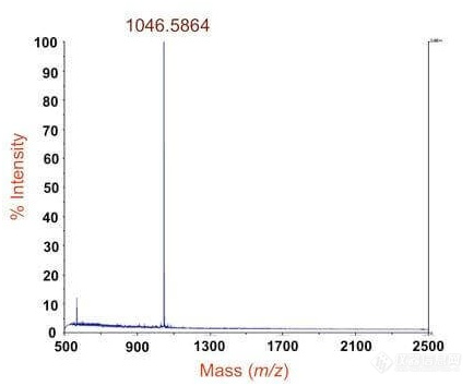 蛋白质分子量测定.jpg