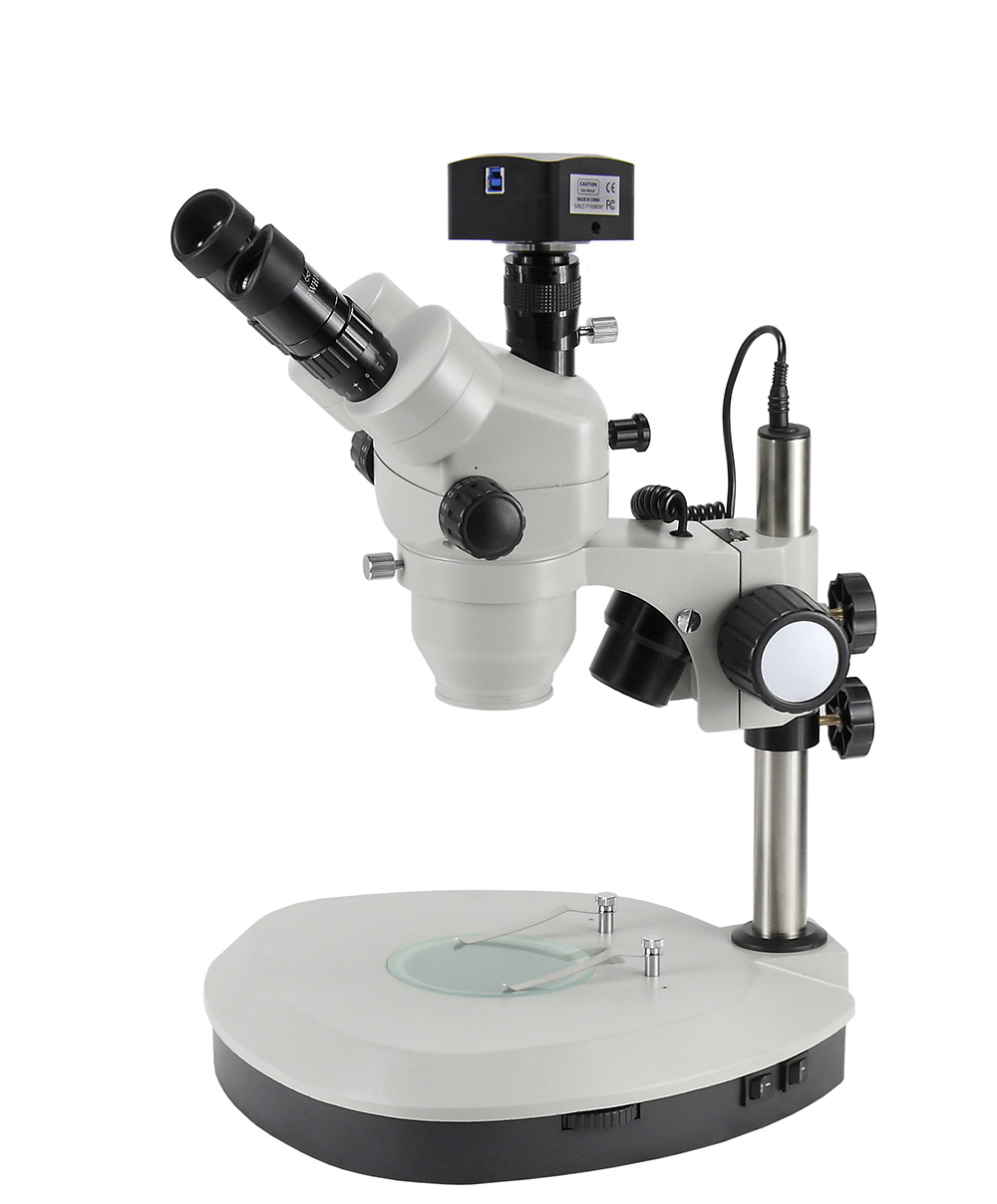 ZS1065T 连续变倍体视显微镜