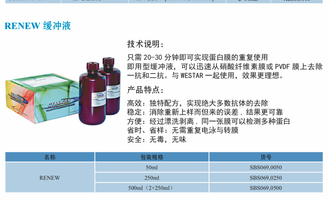 RENEW RENEW缓冲液