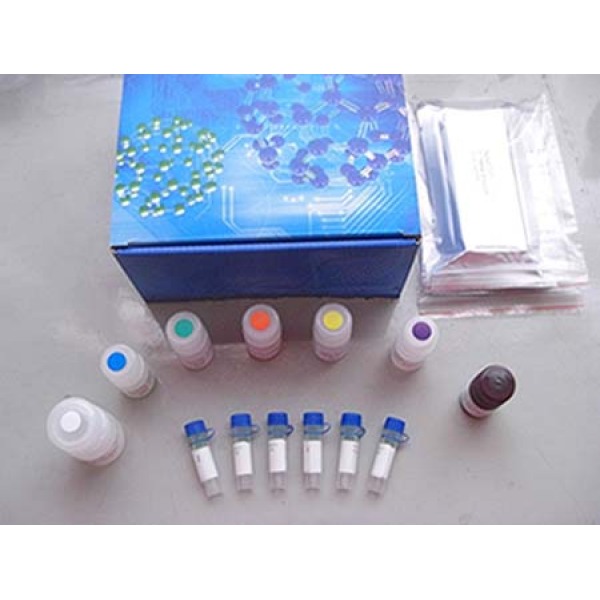 铼博血液基因组DNA提取试剂盒Blood DNA Mini Kit