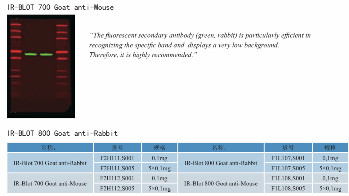 IR-BLOT 700 红外近红外抗体