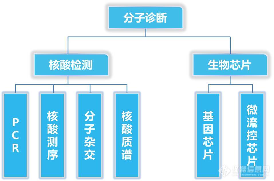 分子诊断技术.jpg