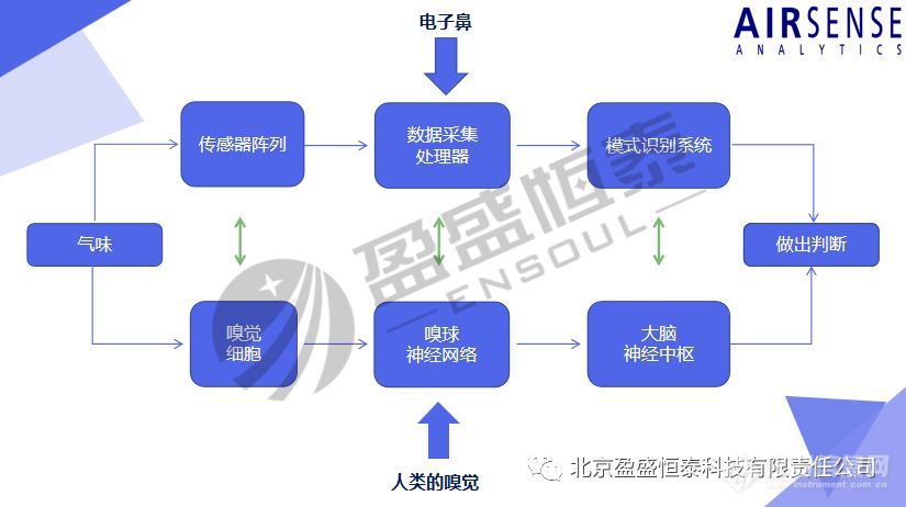 培训会精彩回顾丨北京盈盛恒泰电子鼻这场培训会，不简单！