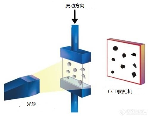 专题约稿|比表面技术在锂电材料研究中应用与展望