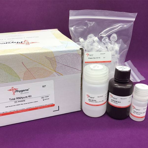 血糖含量测试盒