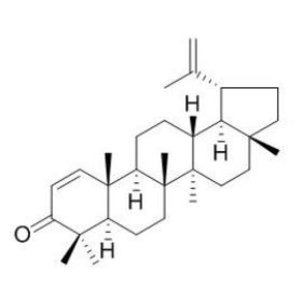 算盘子酮 CAS:6610-55-5