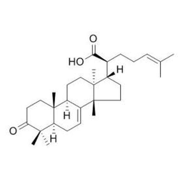 3-氧代甘遂-7,24-二烯-21-酸 CAS:82464-35-5