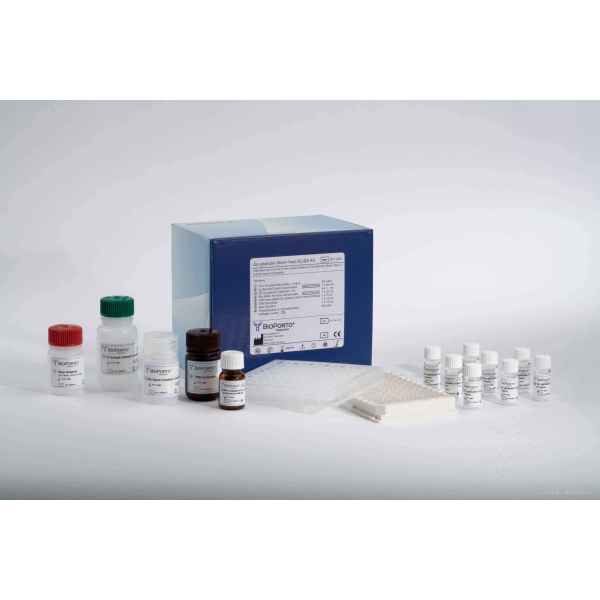 赖氨酸（LYS）测试盒
