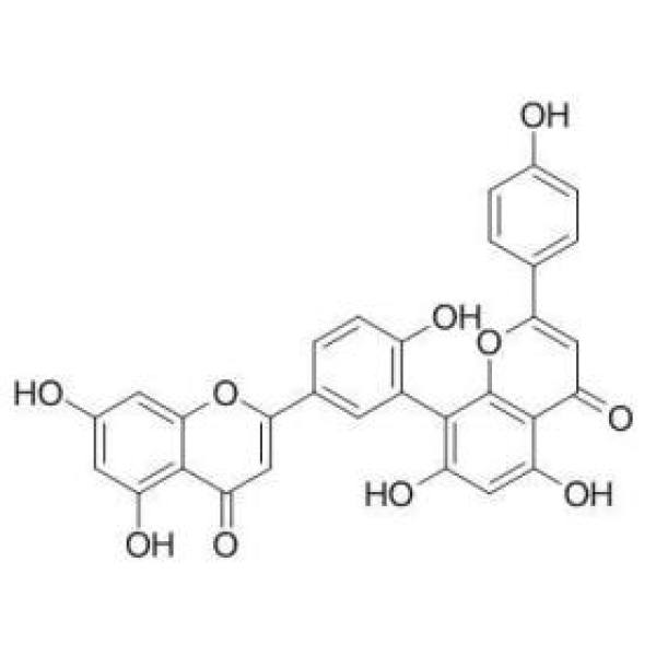 穗花杉双黄酮 CAS:1617-53-4