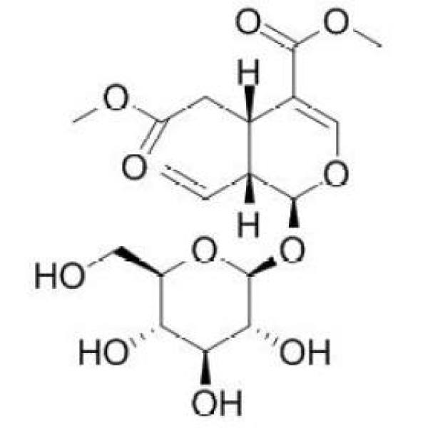 幼枝含断氧化马钱子苷甲酯 CAS:74713-15-8