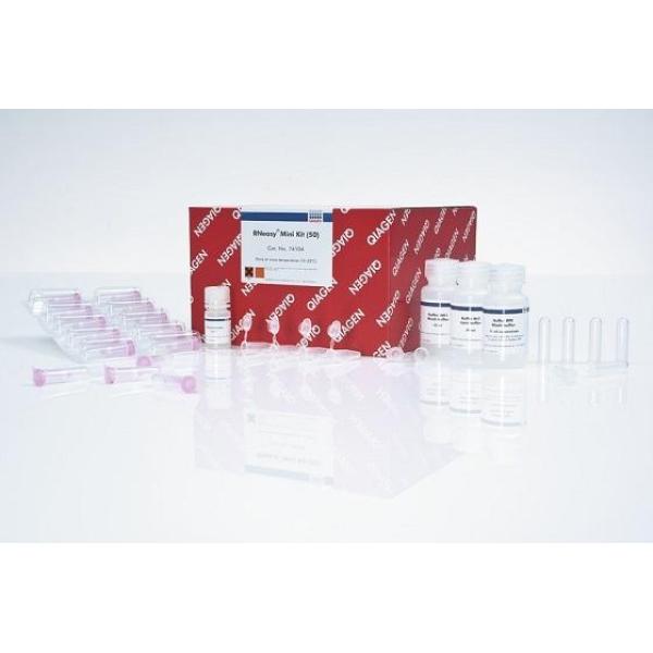 锰过氧化物酶（MnP）测试盒