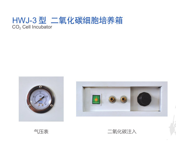 上海恒字二氧化碳细胞培养箱HWJ-3-80