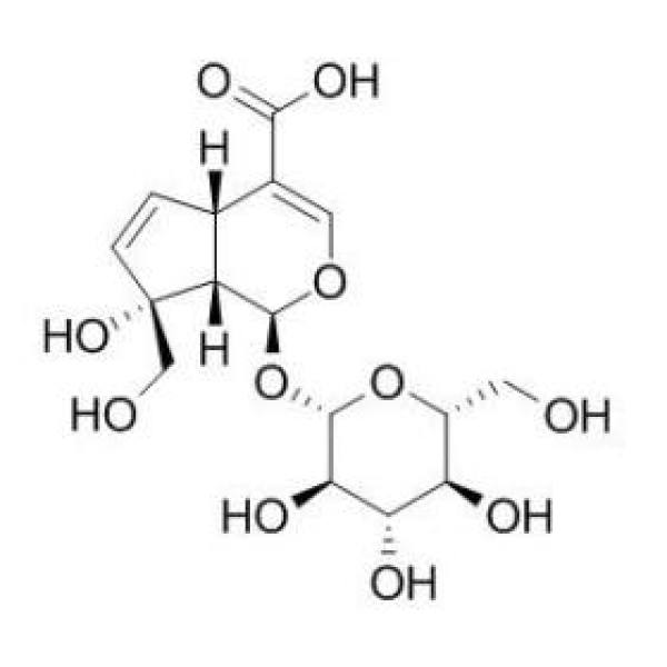 水晶兰苷,水晶兰甙,CAS:5945-50-6