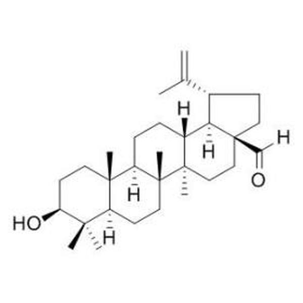 白桦脂醛 CAS:13159-28-9