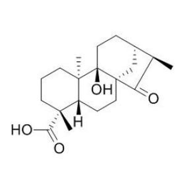 对映-9-羟基-15-氧代-19-异贝壳杉烷酸 CAS:77658-45-8