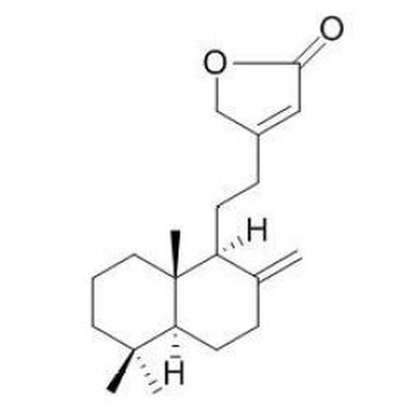 8(17),13-赖百当二烯-15,16-内酯 CAS:83324-51-0