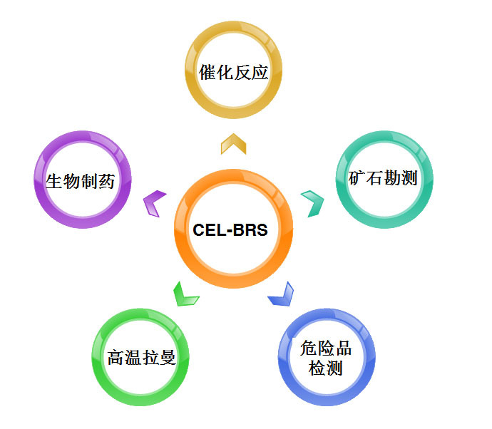 CEL-BRS BrightRaman远程在线拉曼测试系统