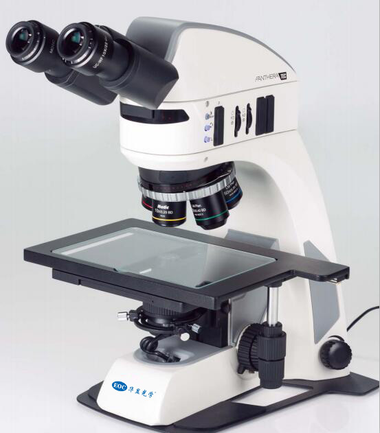 motic供应新款PantheraTEC-BD-TD正置超景深显微镜