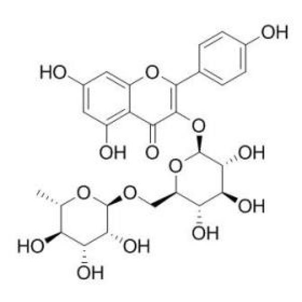 山奈酚-3-O-芸香糖苷 CAS:17650-84-9