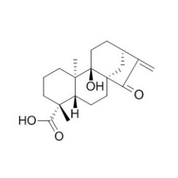 对映-9-羟基-15-氧代-16-贝壳杉烯-19-酸 CAS:77658-39-0