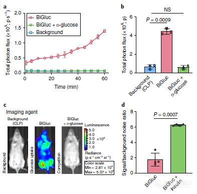 IVIS 视角 | 使用生物发光成像实时监测体内葡萄糖摄取